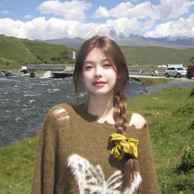 流浪狗阿甘